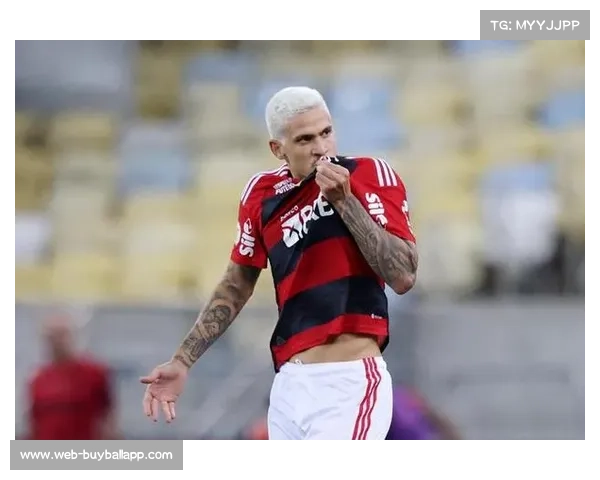 南美解放者杯14决赛激战帕尔梅拉斯与弗拉门戈谁能晋级半决赛 南美解放者杯14决赛激战帕尔梅拉斯与弗拉门戈谁能晋级半决赛