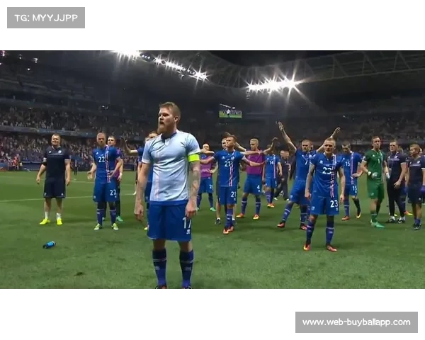 冰岛球迷维京战吼带来的地面震动数据记录与分析 冰岛球迷维京战吼带来的地面震动数据记录与分析